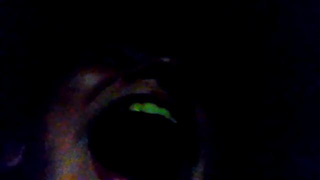 Смех дятла смотреть онлайн