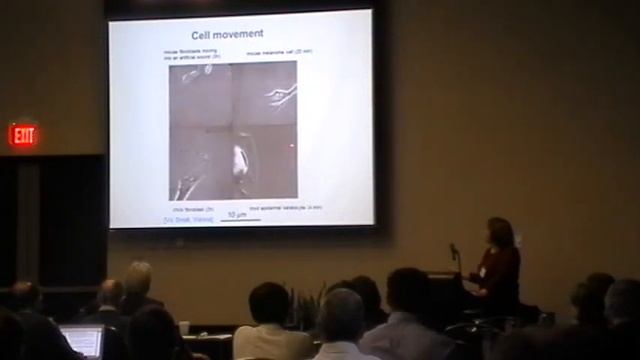 ICAM-I2CAM Annual Conference 2016 : Session 2 - Frontiers in Bioscience/Soft Matter I смотреть онлайн