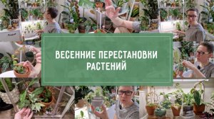 ВЕСЕННИЕ перестановки РАСТЕНИЙ