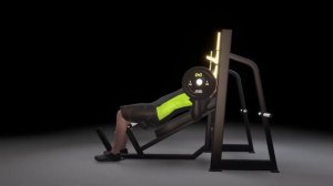 DHZ Fitness EVOST II - A3042 Olympic Bench Decline