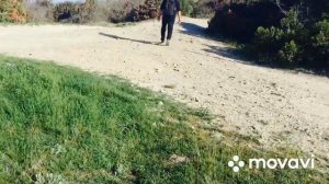 Анапа Чёрное море Варваровская щель Шингари сегодня 9 апреля 2024 г.