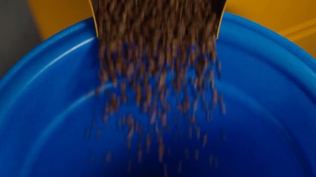 Girls Who Grind Coffee смотреть онлайн