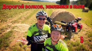 Дорогой волков, земляники и пыли. Пятая серия.