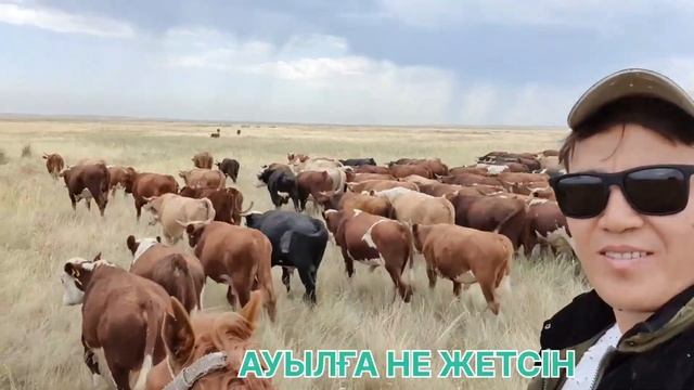 АУЫЛДЫҢ АДАМДАРАЙ #ауыл #мотивация #музыка #природа #жизнь #ауылым #ауылдағы #бизнес #животные смотреть онлайн