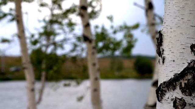 #music Romantic мелодия Романтика смотреть онлайн