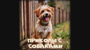 СВОБОДОЛЮБИВАЯ собака. ПРИКОЛЫ