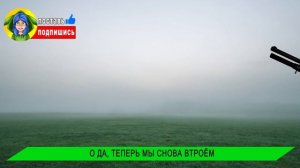 СБОРНИК ПАРОДИЙ ПРО ТРИ КОШАРЫ НАВОДЯТ СУЕТУ (ЧАСТЬ 2) Песня Мульт Анимация