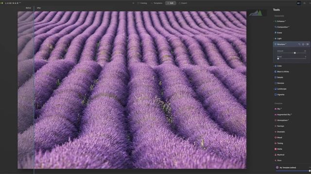 PERCHE' SI DEVONO RITOCCARE LE FOTO? - Mini corso di POST PRODUZIONE ep.1 смотреть онлайн