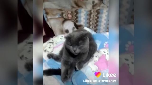 Каждый раз я вспоминаю детство смотреть онлайн