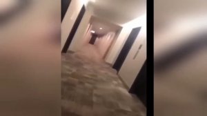 Смешные_Котямбы