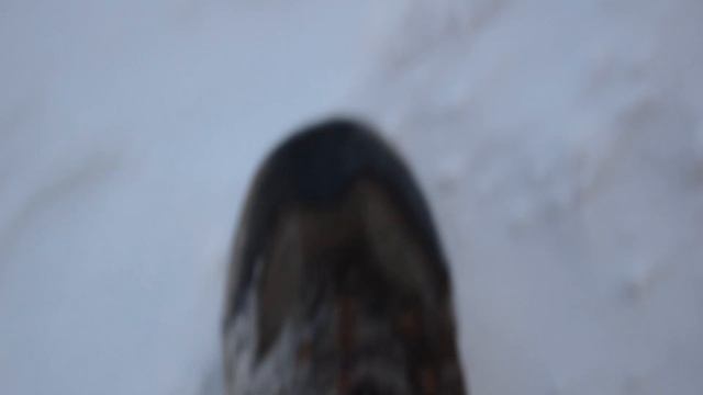 Автобляди соснули! смотреть онлайн