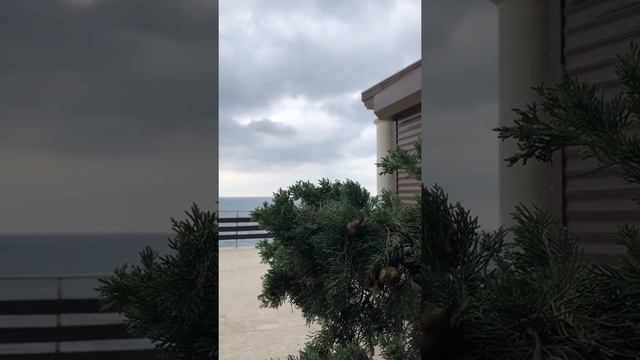 Парк Айвазовского. Осень. Крым. смотреть онлайн