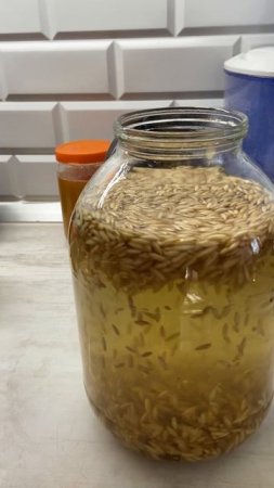 Поставила квас из овса на брожение