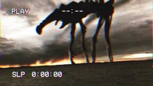 Day 18 wandering doom sounds | Звуки День 18