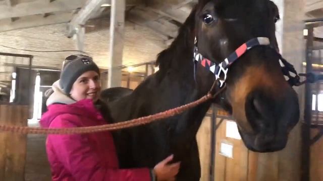 Весна на конюшне? Пришёл март! смотреть онлайн