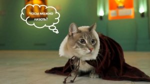 Официальный ролик выставки «Часы и эпоха»