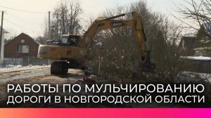 Новгородские дорожники продолжают расчищать полосу отвода вдоль региональных дорог