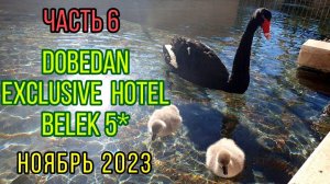 🌞6. Dobedan Exclusive Hotel 5*. Последствия шторма, пляж. Артем закаляется. Лебедята.. Турция