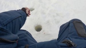 Рыбалка как с пулемёта, правда не совсем что хотелось бы. Но кошка рада)))
