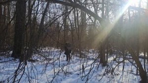 Заблудился в лесу