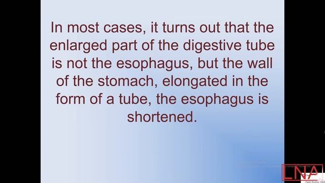 Pathology - Body Cavities. смотреть онлайн