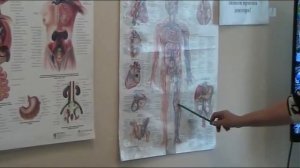 Фрагмент приема Шишовой О. И.  от 02. 06. 17г.