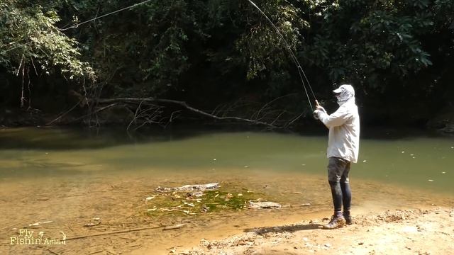 Mahseer Fly Fishing in Thailand With Davids Fishing