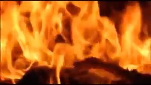 Футаж огонь,костер