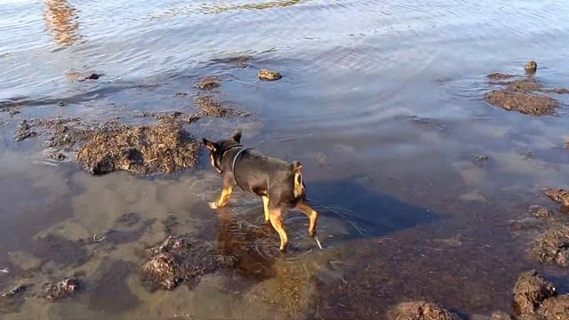 Аргазинское водохранилище,9 июля#Аргазинскоеводохранилище#