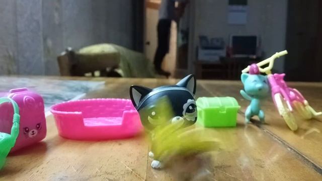 Новинки lps. Новые петы?! смотреть онлайн