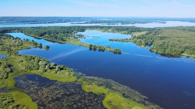 Турнир "Волжская заруба" 2022