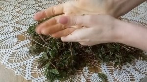 ферментация молодых листьев таволги. чай из таволги