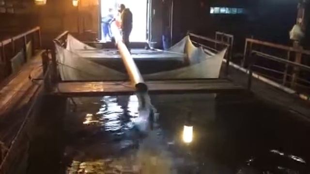 Форелевое пополнение в Живорыбной базе Гжелка