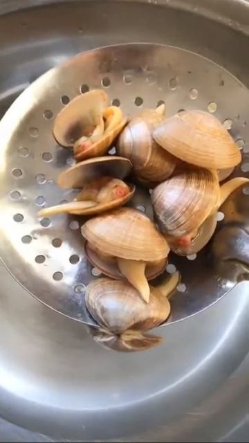 黄蚬子蒸蛋教程想吃点亮红心评论666 2017 9 01 09 55 27 смотреть онлайн