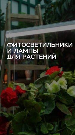 🌸 Весна – время, когда ваши растения требуют особого внимания. LEDPremium.ru