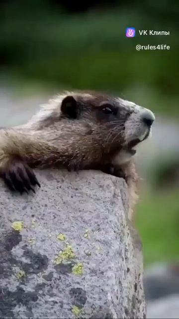 6 апреля 2023 г. смотреть онлайн