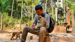 Little monkey Royston and monkey Rainbow is so smart check my my bag find milk drink