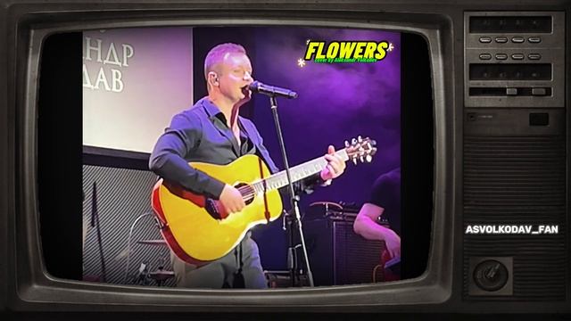 "Flowers" исп. Александр Волкодав, концерт в Москве 27/03/24 #александрволкодав #концерт #flowers