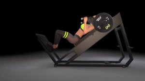 DHZ Fitness Plate Loaded EVOST II - A3057S Hack Slide