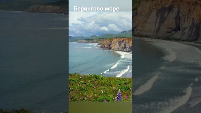 #андрейординарцев #моряссср#природассср  Берингово море