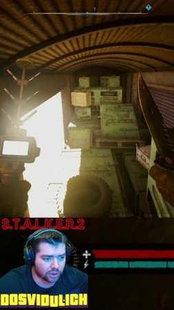 ССП 99 Эколог на Болотах ★ S T A L K E R 2 Heart of Chornobyl #stalker2 #heartofchornobyl