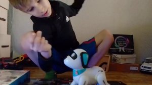 Обзор на робот-собаку🐶