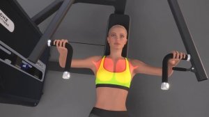 DHZ Fitness Evost II Dual Function - A3084 Chest Incline Press Shoulder Press