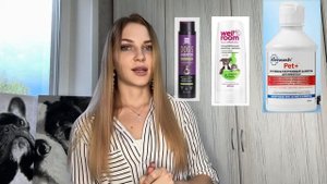 Как правильно мыть французского бульдога и какие средства для этого нужны