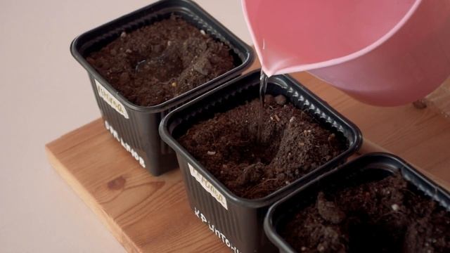 🔥 УБИРАЕМ🧹ОРГАНИЗУЕМ 🥧 ГОТОВИМ со мной 🌾 vlog Ep.10 смотреть онлайн