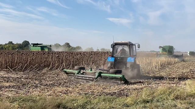 Уборка подсолнуха смотреть онлайн