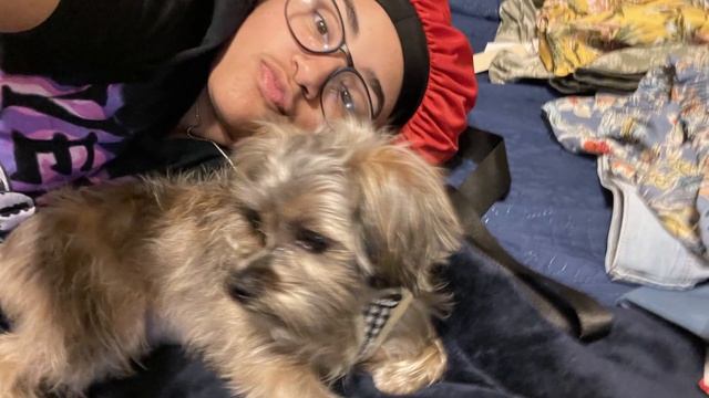 Louisville family says a sitter they hired through Rover lost their dog смотреть онлайн