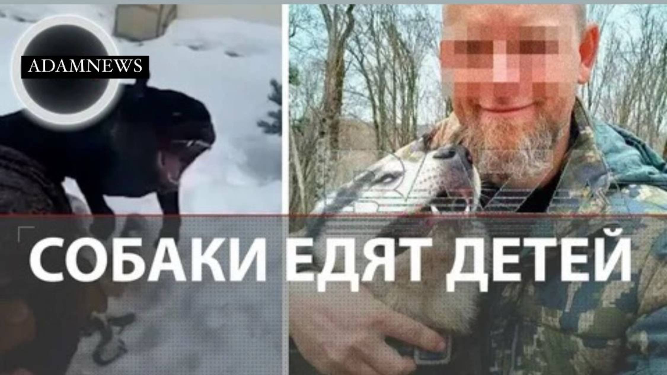 Мама собой закрыла сына от ротвейлера | 3 ужасающих нападения собак: Сочи, Ставрополь, Екатеринбург