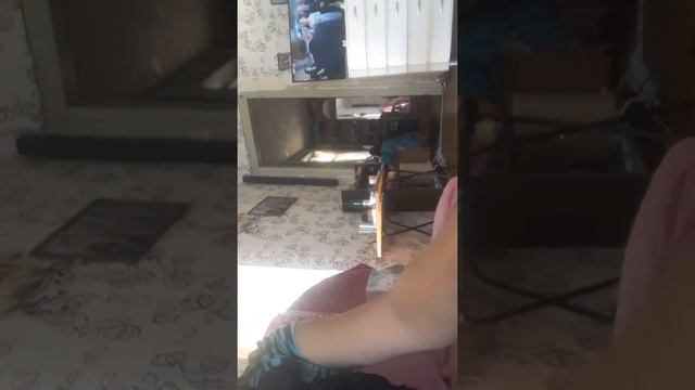 Вырастили динозаврики из моего канала и завтра мы будет распаковка ещё много динозаврика поэтому по смотреть онлайн