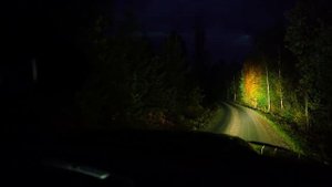 Ночная поездка - DODGE RAM PICKUP TRUCK с максимальным освещение - STRANDS
